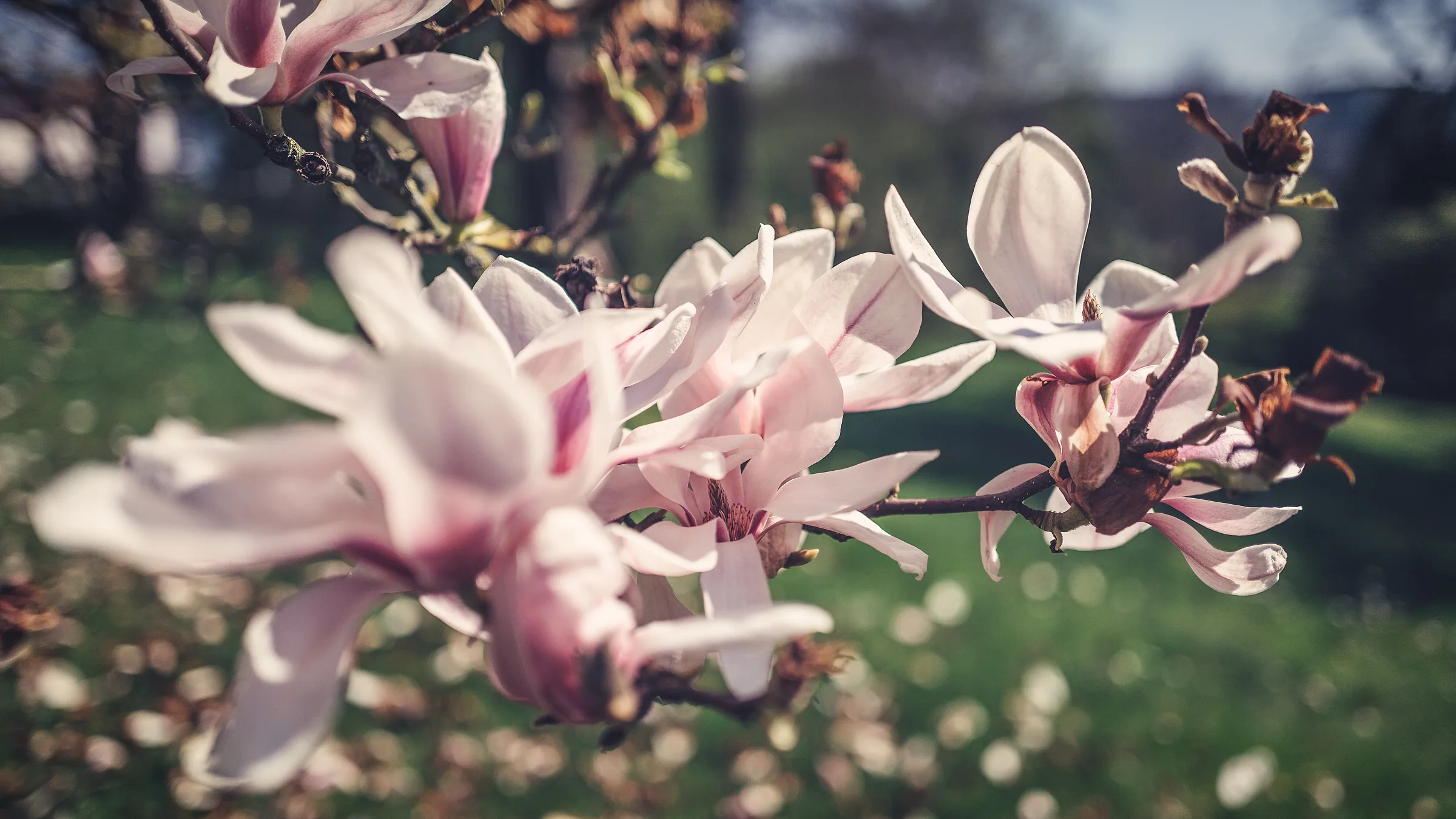 Natur